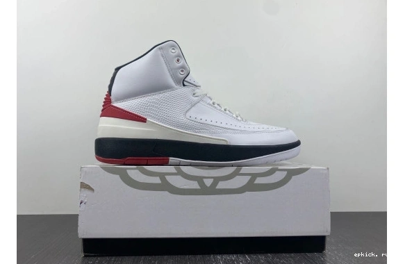 Cheap EP OG DX2454-106 Chicago Retro 2   DX2454-106 Jordan  0125